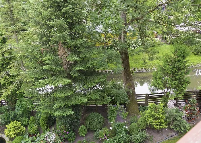 Stase Παλάγκα